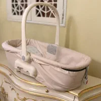 کالسکه ایتالیایی cam