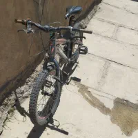 دو عدد دوچرخه 20