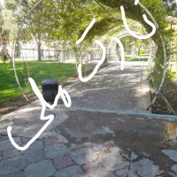 کیف کارت گم شده