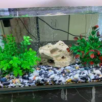 آکواریوم شیشه خم