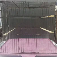 قفس پرنده