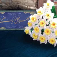 شاخه گل نرگس