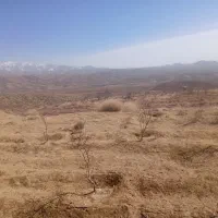 زمین-مزروعی-18-هزار-متر-با-سند-مزرعه-بیداخوید