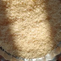 برنج فجر شمال