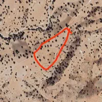 فروش زمین کشاورزی دوراهی میشخاص ملکشاهی|فروش زمین و ملک کلنگی|گچی, |دیوار