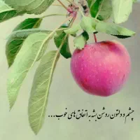 حدود5کارتن کتابهاوجزوها ونمونه سوالهای کنکور