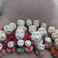 ننه سرما برای شب یلدا