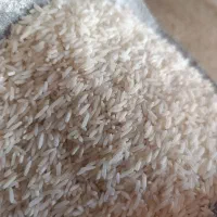 برنج ضیعمی شیراز حراج واقعی|خوردنی و آشامیدنی|ایوان, |دیوار