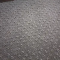 موکت پالاز زیر فرشی تمیز