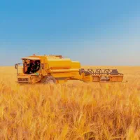 زمین 200مترواگذاری شهرداری پیام