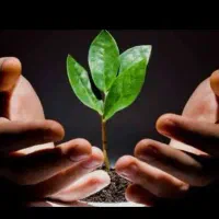 کلنیک مهر پاک درمانجوی اعتیاد