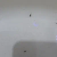 بچه فایتر ۳۰ روزه