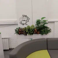 تزئینات بوته ایی وگیاه سبز برای داخل فلاور باکس|گل مصنوعی|تهران, بازار|دیوار