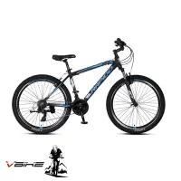 دوچرخه سالم