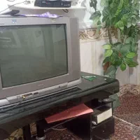 پارس 21|تلویزیون و پروژکتور|زابل, |دیوار