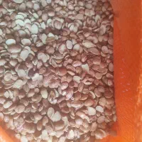 باسلام.کپسول ال پی جی|قطعات یدکی و لوازم جانبی|اهواز, حصیرآباد|دیوار