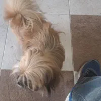 لی لی خانم ساکت دوست داشتنی