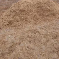 کاه قره دنه