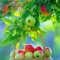 ضامن وام ازدواج
