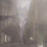 آنجل|ماهی|مرند, |دیوار