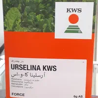 بذر چغندرقند وارداتی و داخلی تضمینی