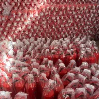 شارژ فروش کپسول آتش نشانی اتشنشانی