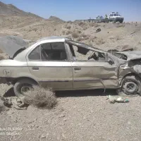 سمندتصادفی