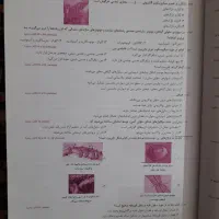 کتاب کمک درسی پایه یازدهم|کتاب و مجله آموزشی|اندیشه, اندیشه فاز ۴|دیوار
