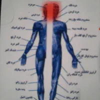 ک م ک و راهنمایی درمان
