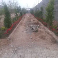 نهال ۱تا ۷ ساله .درخت 7 ساله|خدمات باغبانی و درختکاری|مشهد, توس فردوسی|دیوار