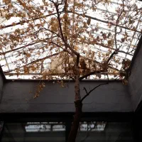 اجاره واحد اداری آسانسور دار پروین اعتصامی
