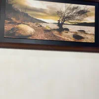 تابلوی زیبا و نو|تابلو، نقاشی، عکس|لاهیجان, کاروانسرابر|دیوار