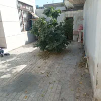 ملک ویلایی بزرگ و دلباز پنجتن ۶۰