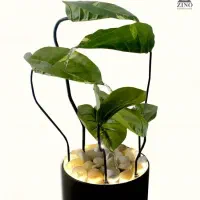 آب نما طرح پتوس