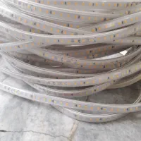 ریسه نور مخفی