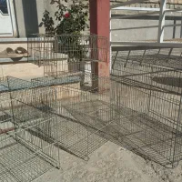 4تاقفس پرنده با یک تله شکاری