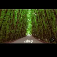 اجاره زمین ۷۶متری