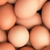 تخم مرغ محلی تازه