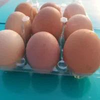 ظرف مخصوص تخم مرغ و یلدرچین طراحی و چاپ لیبل