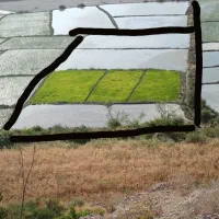 زمین کشاورزی