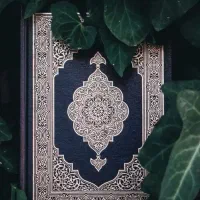 سرکتاب