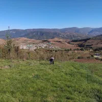 فروش باغ ۵۰۰۰ متری بهمراه زمین زعفران|فروش زمین و ملک کلنگی|دوزین, |دیوار