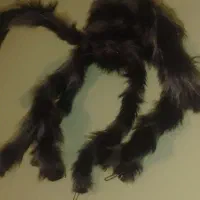 لباس وعروسک حراج|لباس|شیروان (خراسان), |دیوار