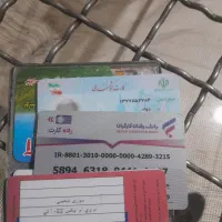مدارک پیدا شده