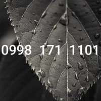 سیمکارت هوشمند شاتل برندکسب وکار