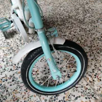 دوتا دوچرخه از دبی|دوچرخه، اسکیت، اسکوتر|شوش, |دیوار