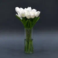 نیاز به پرستار خانم جهت نگهداری سالمند خانم