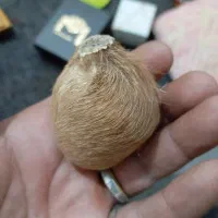 انگشتر اونو حذف کردم ناظر|بدلیجات|زابل, |دیوار