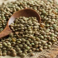 عدس درجه یک امسال