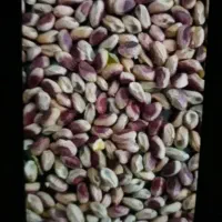 مغز پسته از کجا پیدا کنم